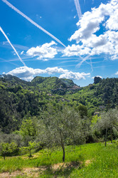 Similar image 22423284