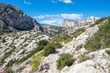 Similar image 22423514