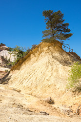 Similar image 22423555