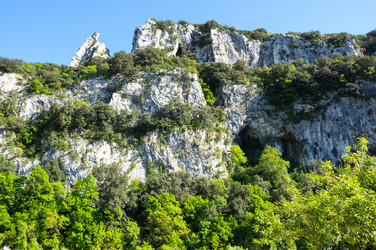 Similar image 22423559