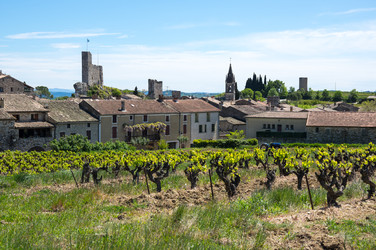 Similar image 22423565