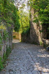 Similar image 22423566