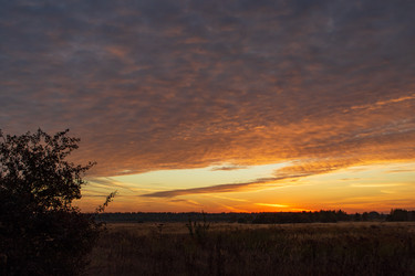 Similar image 22418785