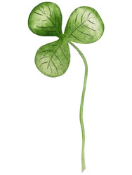 Similar image 22422951