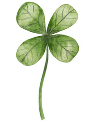 Similar image 22422964