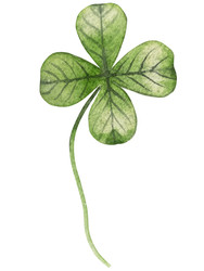 Similar image 22422982