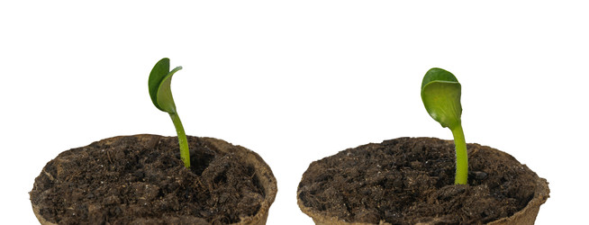 Similar image 22442473