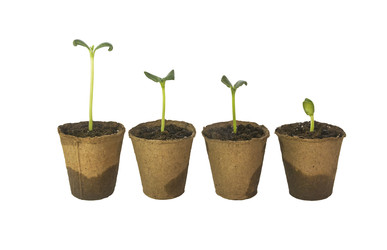 Similar image 22442474