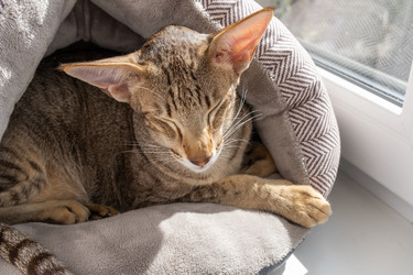 Similar image 22426809