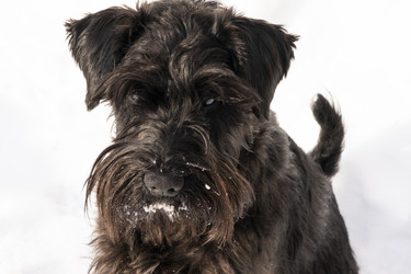 Similar image 22426810