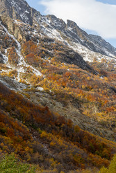 Similar image 22423577