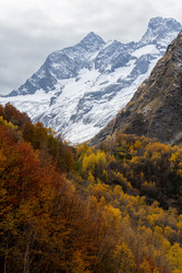 Similar image 22423578