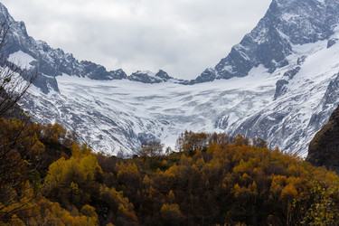 Similar image 22423579