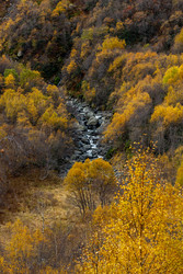 Similar image 22423580