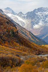 Similar image 22423581