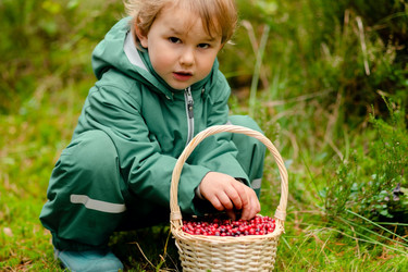 Similar image 22427673