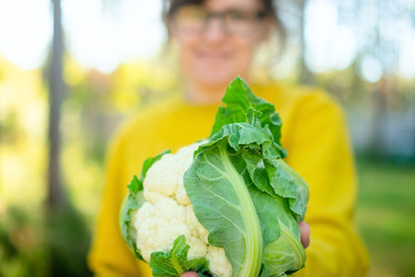 Similar image 22427674