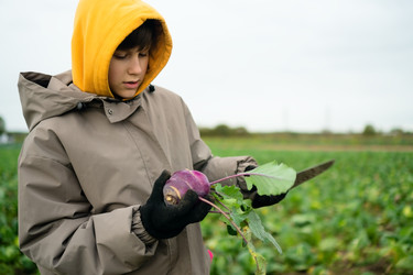 Similar image 22427683