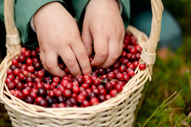 Similar image 22427685