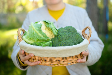 Similar image 22427690