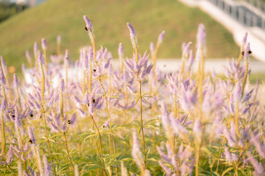 Similar image 22418786