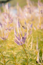 Similar image 22418787