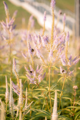 Similar image 22418794