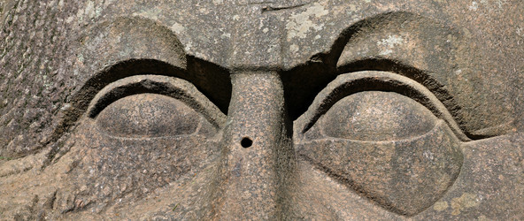 Similar image 22424913