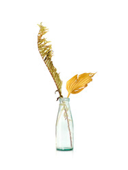 Similar image 22424919