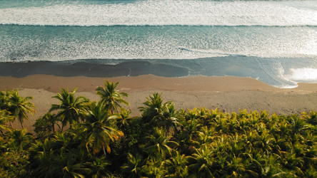 Similar image 22443708