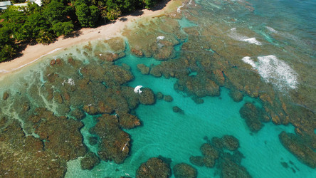 Similar image 22443719