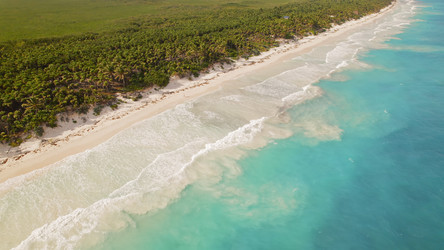 Similar image 22443732