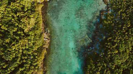 Similar image 22443740