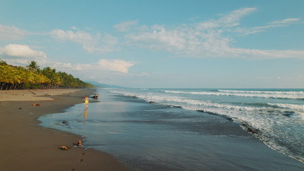 Similar image 22443745