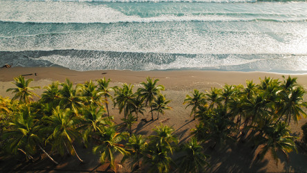 Similar image 22443749