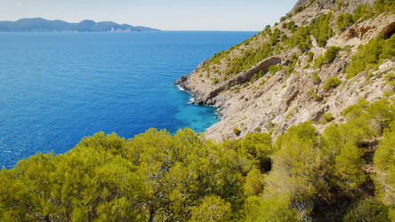 Similar image 22443760