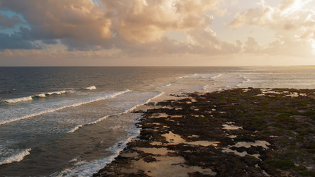 Similar image 22443762