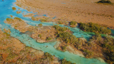 Similar image 22443763