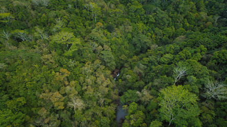 Similar image 22443764