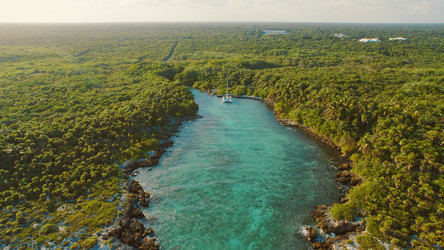 Similar image 22443770