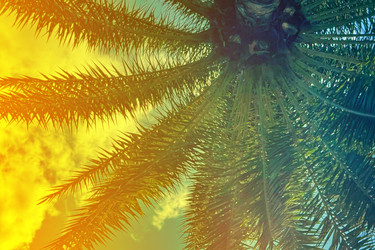 Similar image 22443905