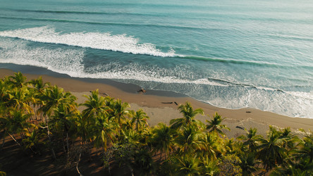 Similar image 22443785