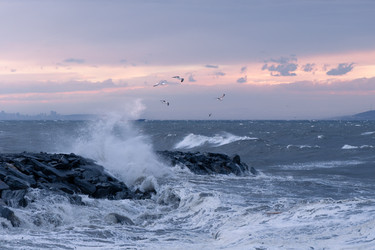 Similar image 22425055