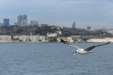 Similar image 22425056