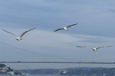 Similar image 22418827