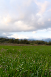 Similar image 22418828