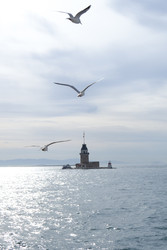 Similar image 22418829