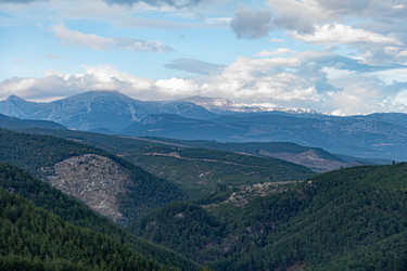 Similar image 22418849