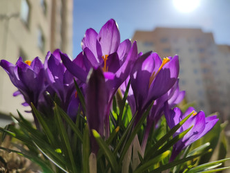 Similar image 22418943