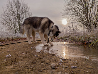 Similar image 22418946